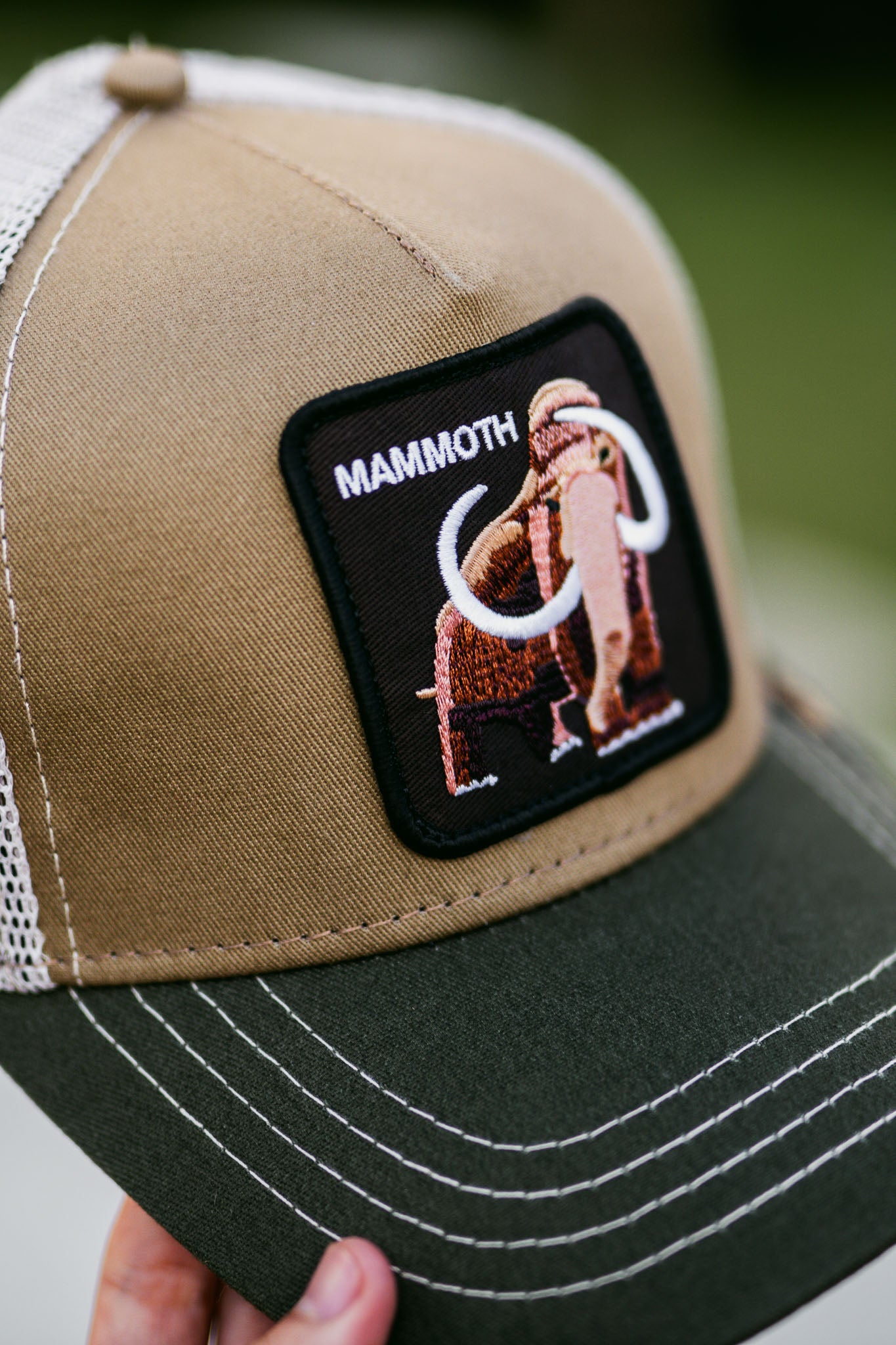 Goorin bros "Mammoth"